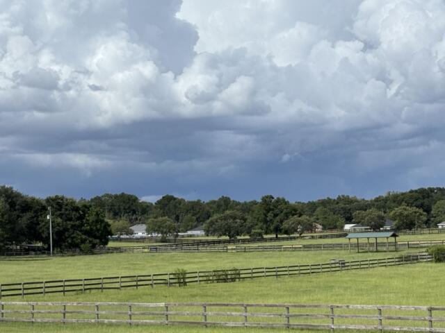 thunderstorm summer weather summerfield florida