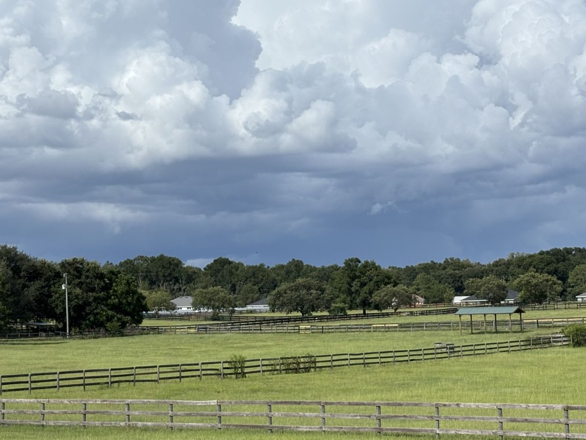 thunderstorm summer weather summerfield florida