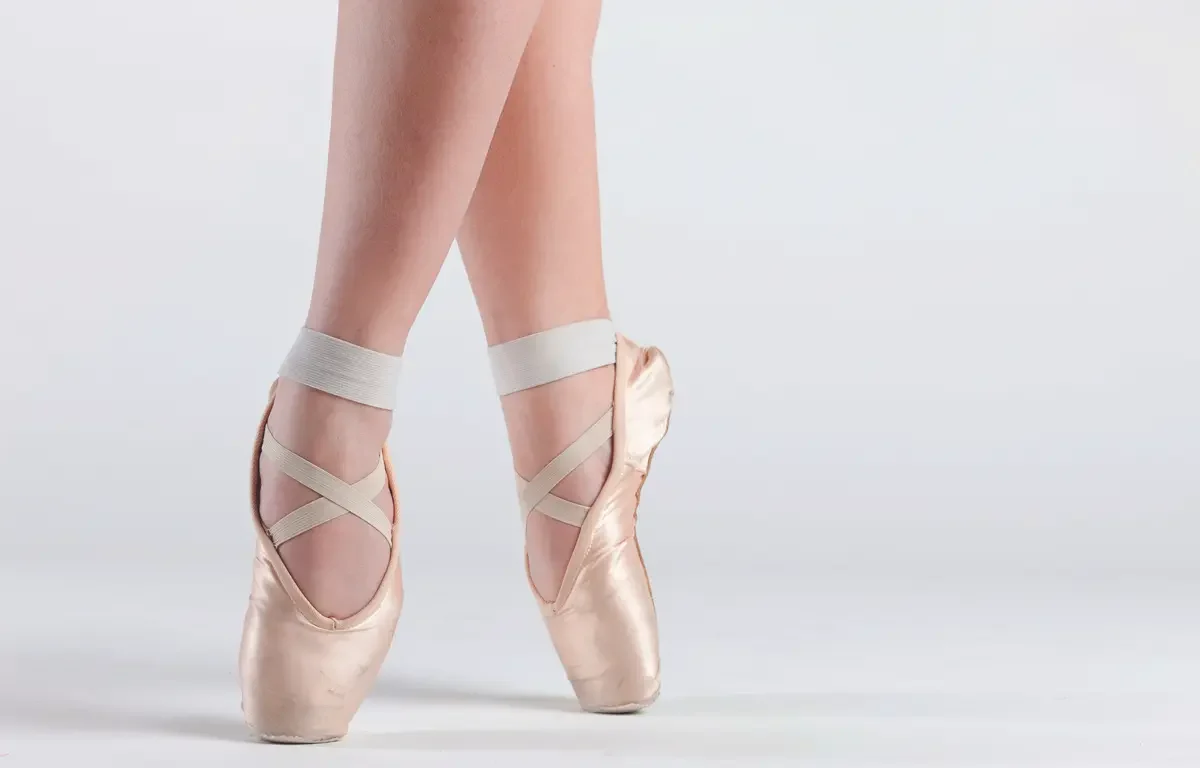 dance alive national ballet gainesville florida