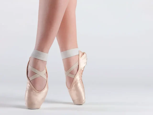 dance alive national ballet gainesville florida