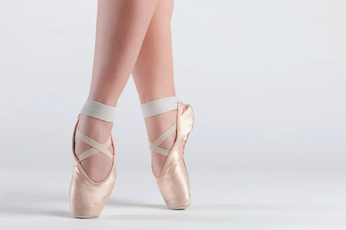 dance alive national ballet gainesville florida