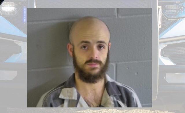 mugshot peter stafani levy county florida
