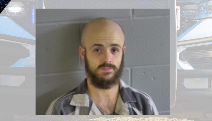 mugshot peter stafani levy county florida