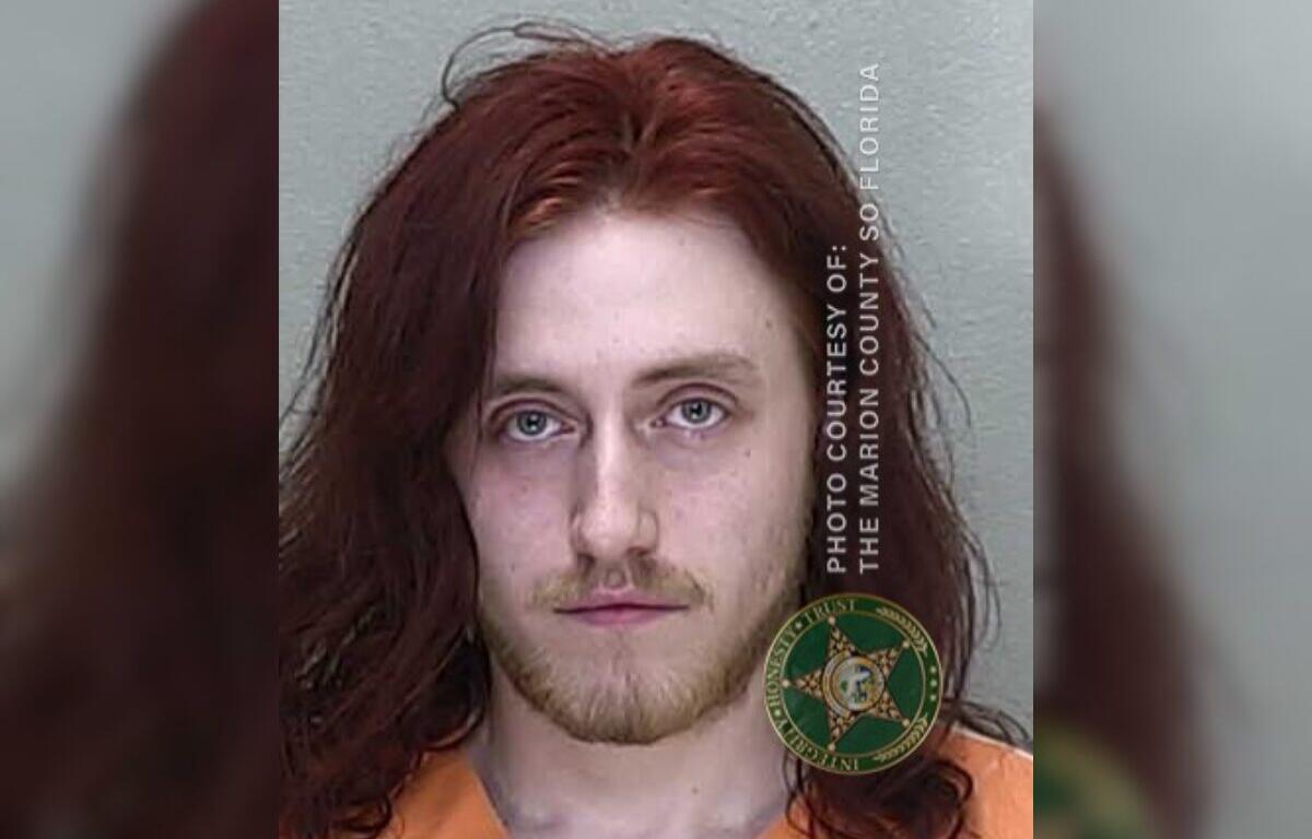 logan litton child sex crimes