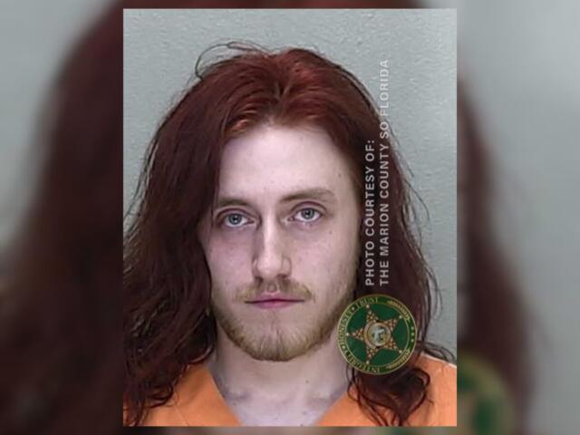 logan litton child sex crimes