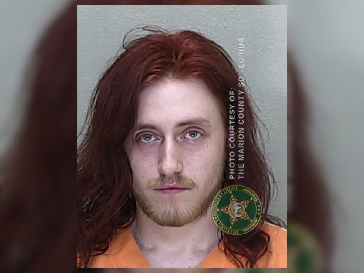 logan litton child sex crimes