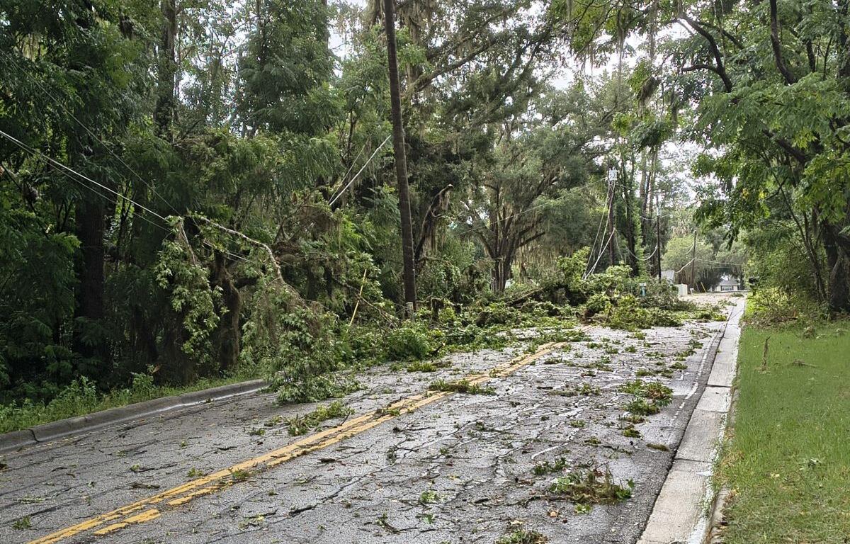 tree limbs thunderstorm road blockage marion county florida