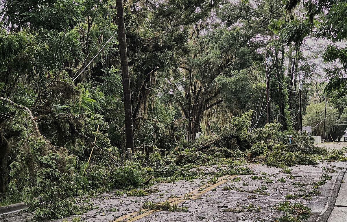 tree limbs roadway blocked severe thunderstorm ocala florida
