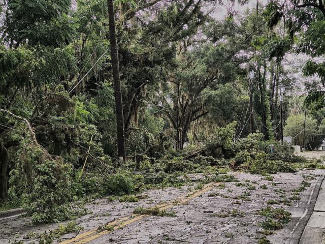 tree limbs roadway blocked severe thunderstorm ocala florida