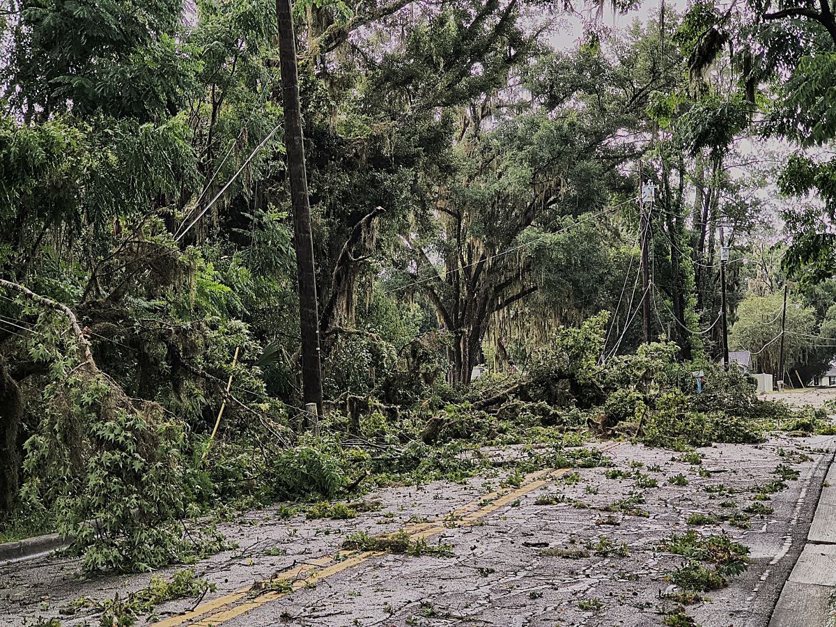 tree limbs roadway blocked severe thunderstorm ocala florida