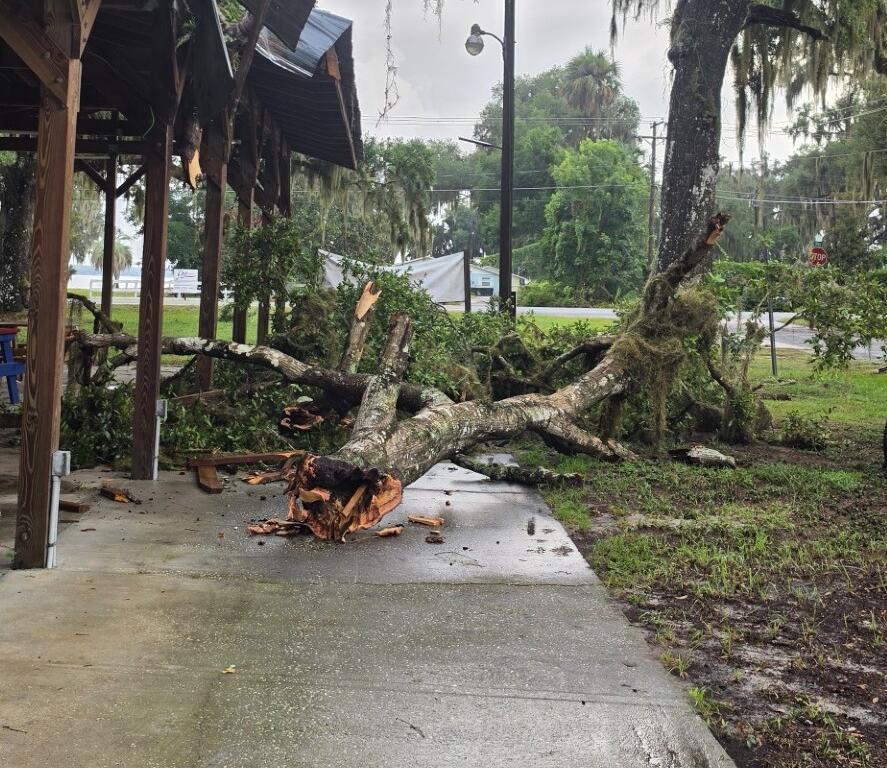downed tree marion county florida severe summer thunderstorm ocklawaha lake weir