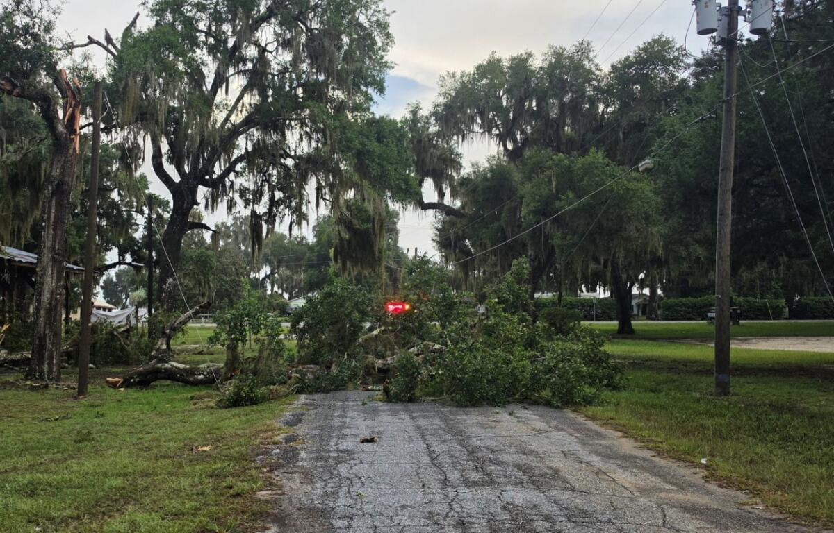 severe thunderstorm summer marion county florida lake weir
