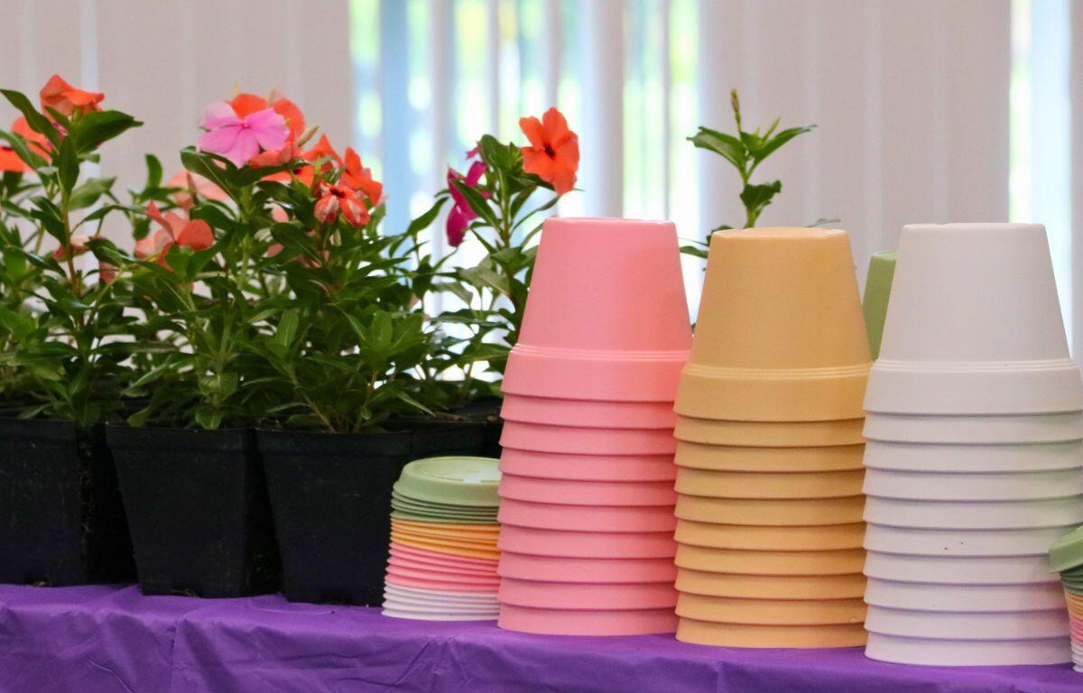 Colorful flower pots on a table with a purple tablecloth and flowers surrounding them.