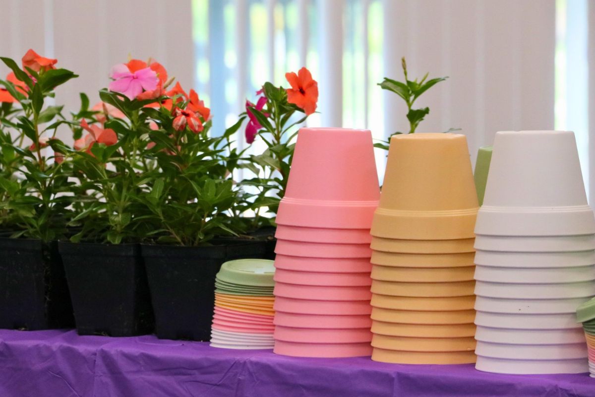Colorful flower pots on a table with a purple tablecloth and flowers surrounding them.