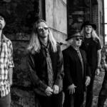 the wildflowers Tom petty tribute band