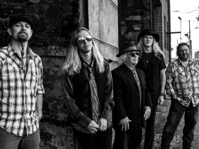 the wildflowers Tom petty tribute band