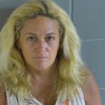 levy county florida shauna briggs mugshot