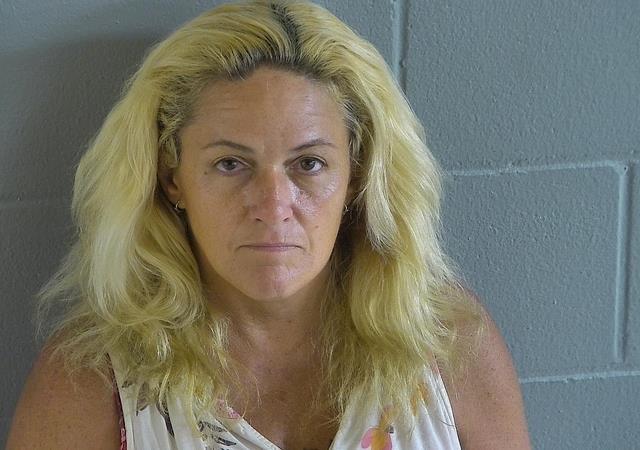 levy county florida shauna briggs mugshot