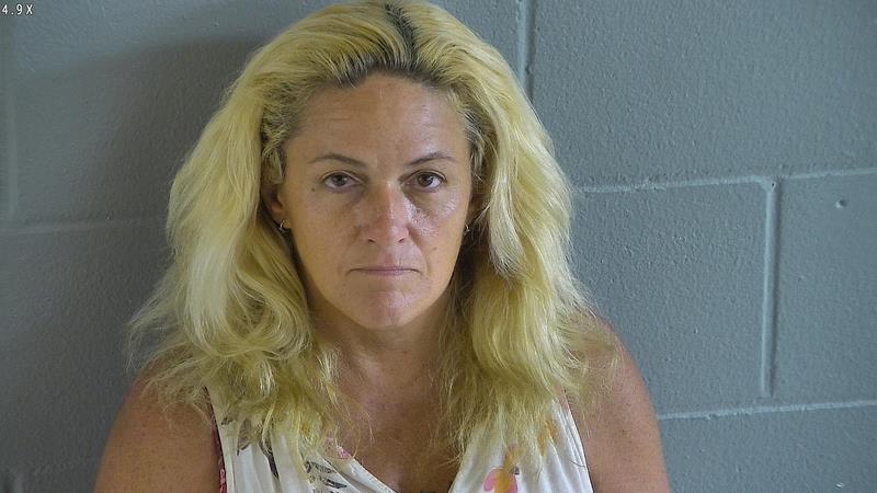 levy county florida shauna briggs mugshot