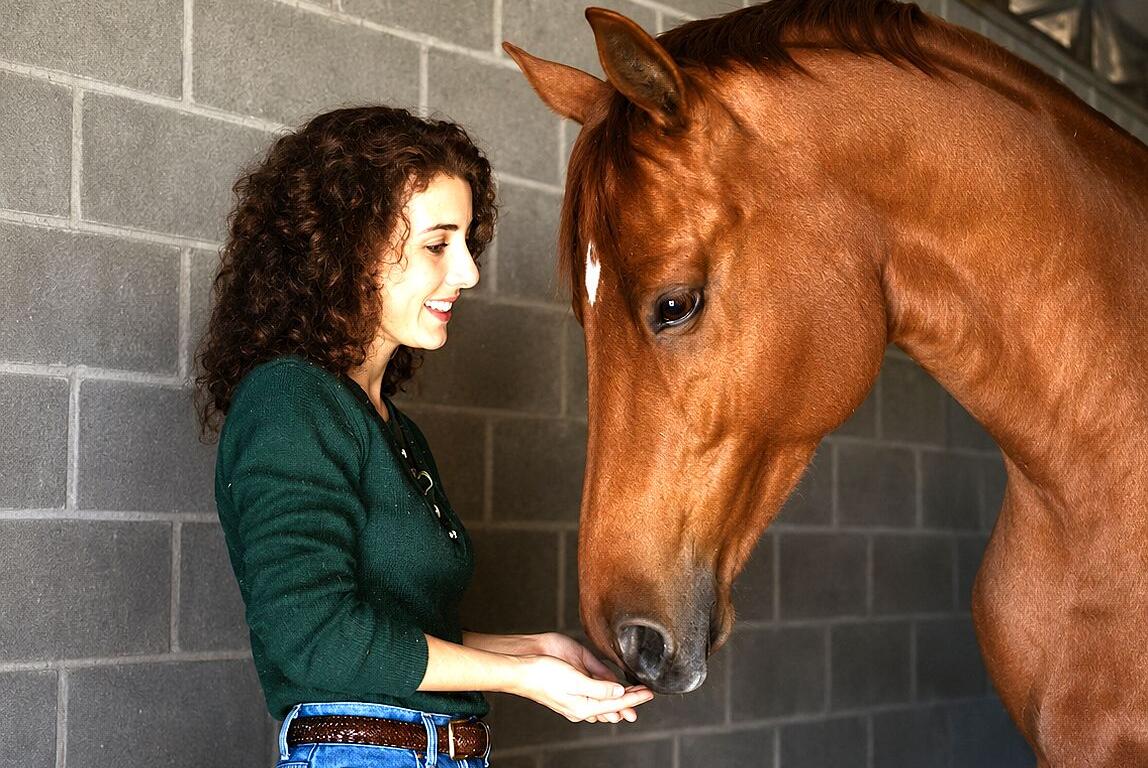animal communicator joanie morrison ocala florida