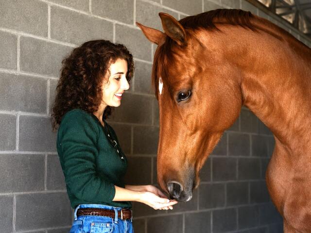 animal communicator joanie morrison ocala florida