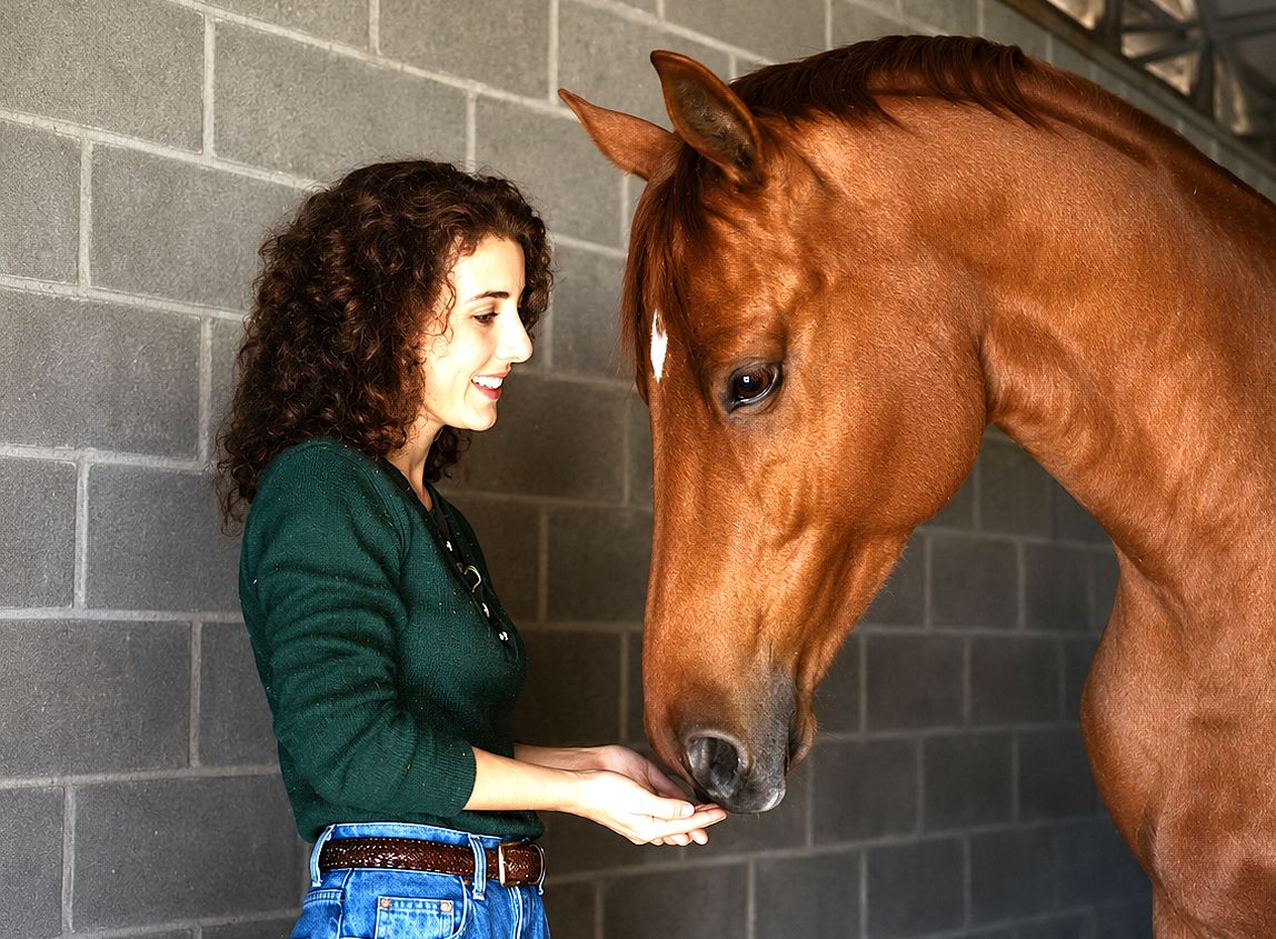 animal communicator joanie morrison ocala florida