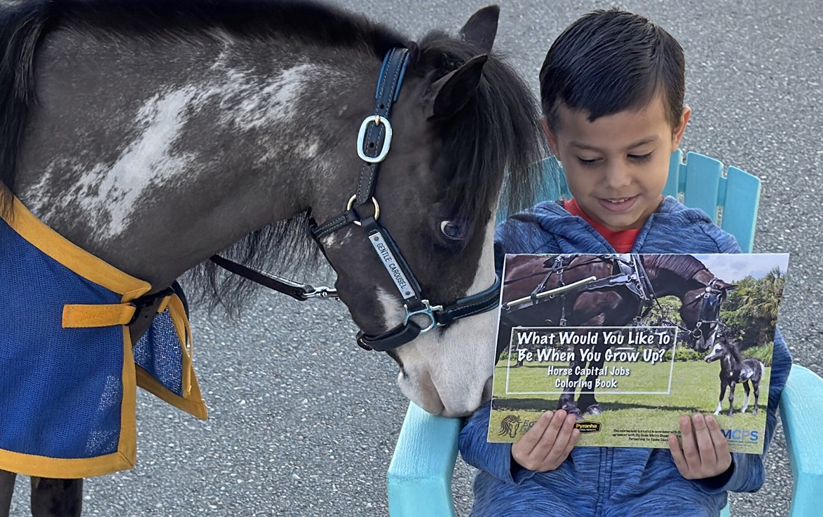 moonshadow mini therapy horse gentlee carousel ocala