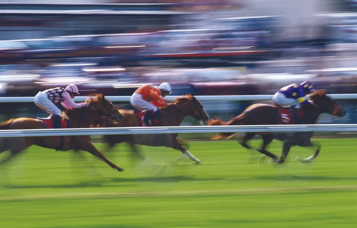 thoroughbred racing track