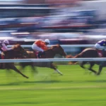 thoroughbred racing track