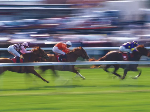 thoroughbred racing track
