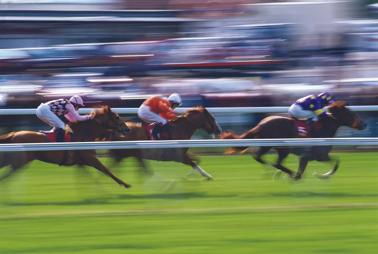 thoroughbred racing track