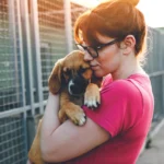 shelter dog