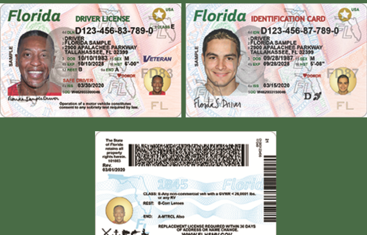 new florida driver license september 2026