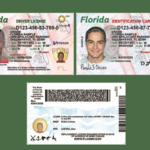 new florida driver license september 2026