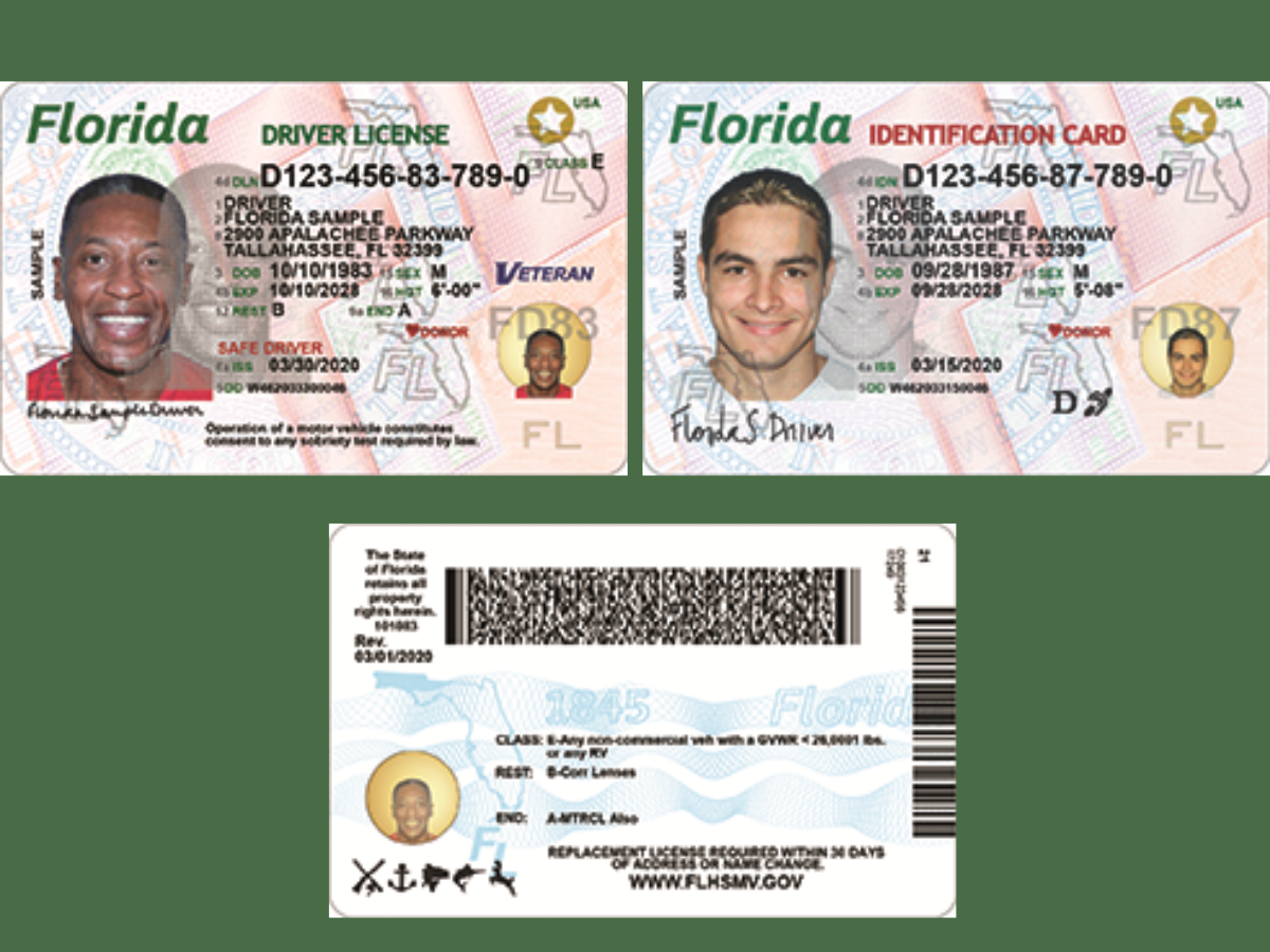 new florida driver license september 2026
