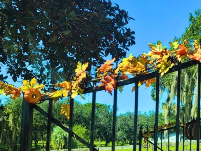 Gate with fake fall leaves.