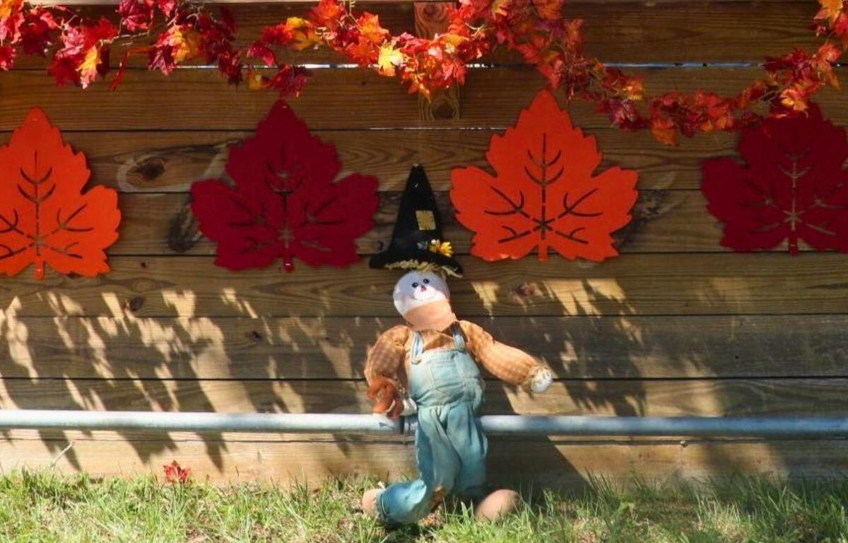 A scarecrow against a wooden stand. Fake red and orange leaves hanging from wooden stand.