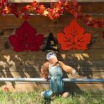 A scarecrow against a wooden stand. Fake red and orange leaves hanging from wooden stand.