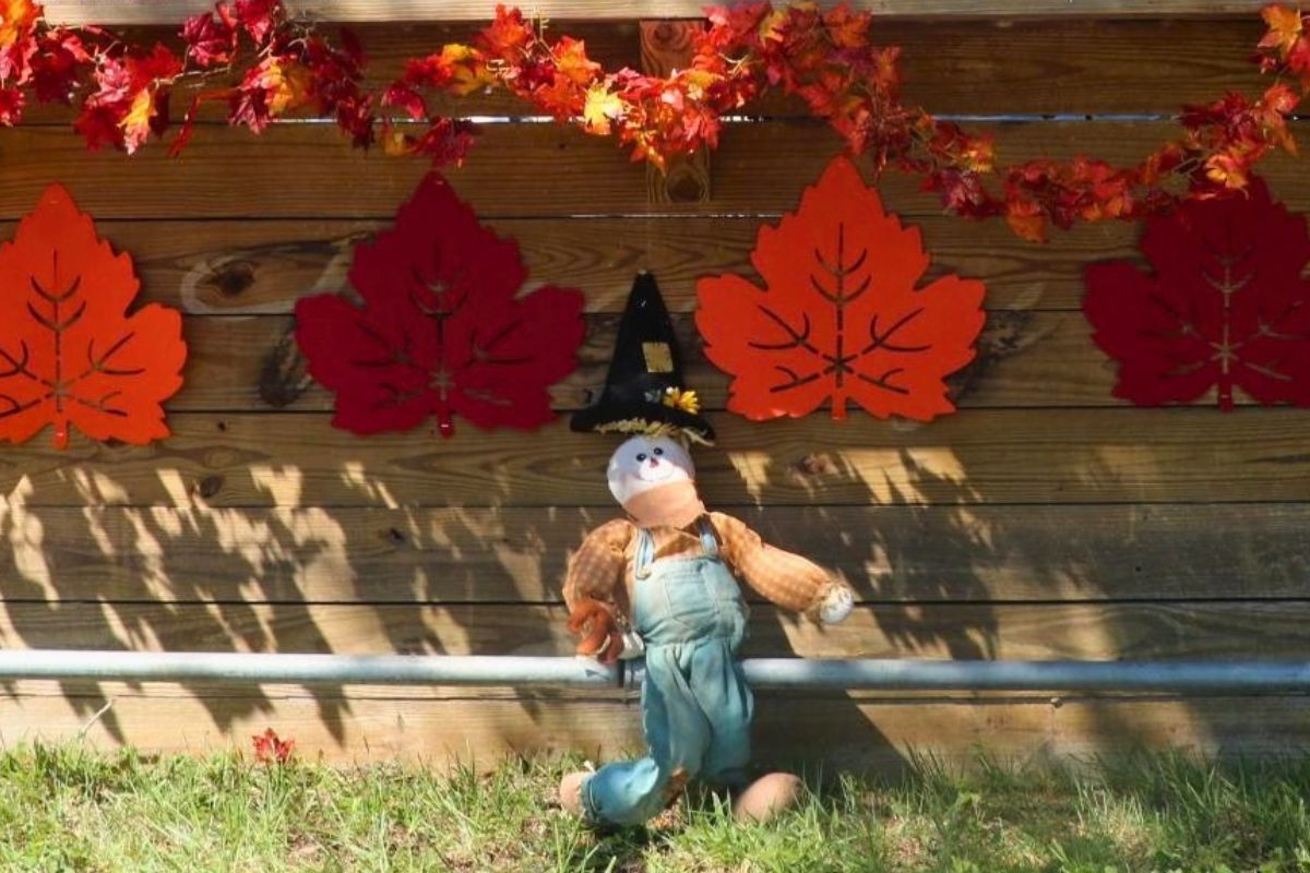 A scarecrow against a wooden stand. Fake red and orange leaves hanging from wooden stand.