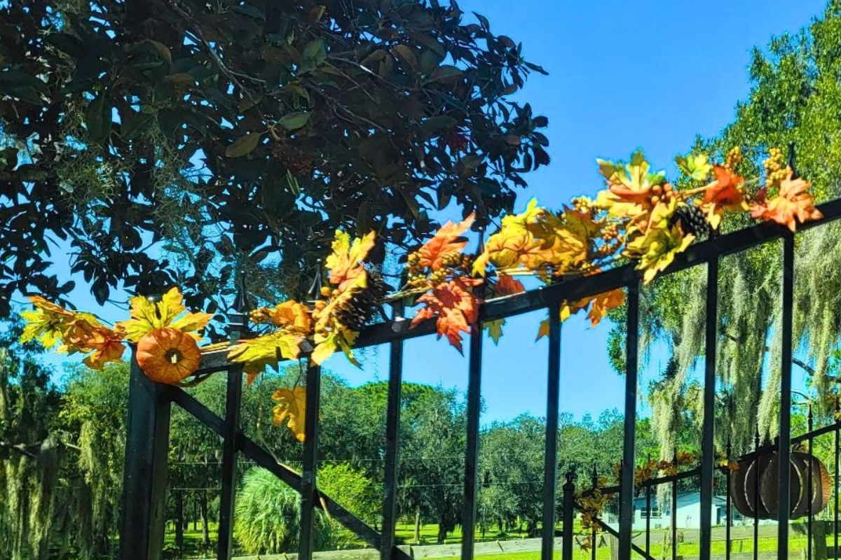 Gate with fake fall leaves.