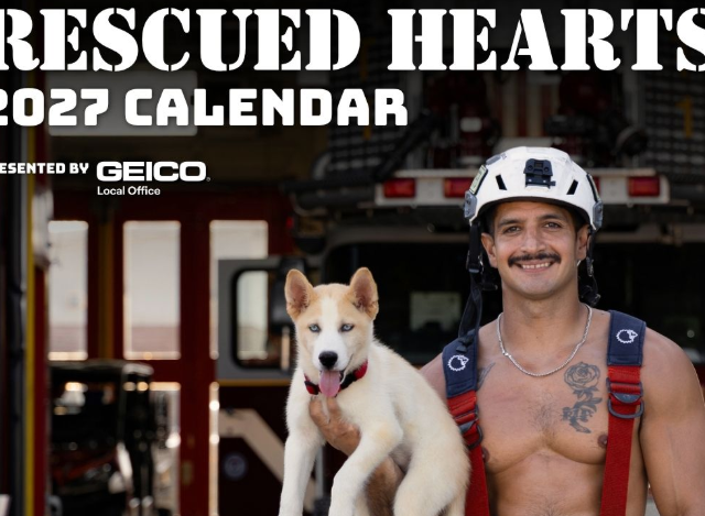 fireman and puppies calendar humane society of north central florida