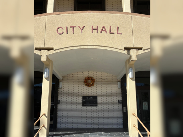 city hall/ fall decor