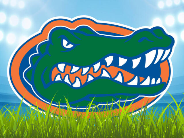 university of florida gainesville gators football