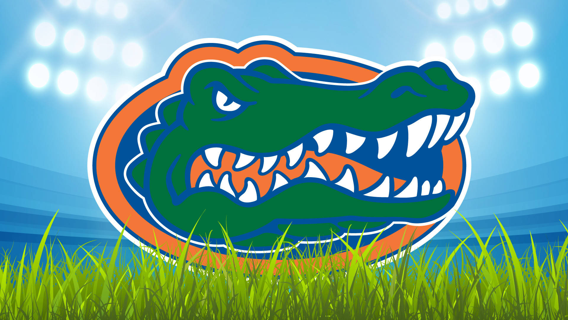 university of florida gainesville gators football