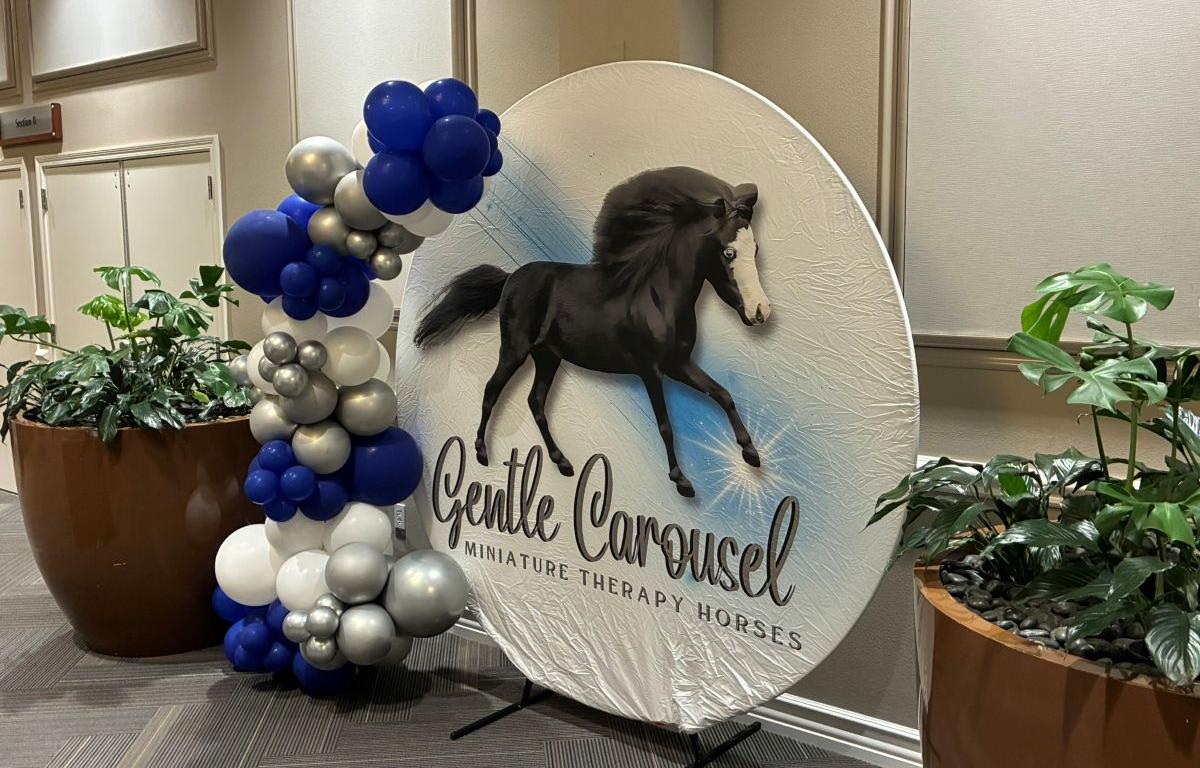 gentle carousel miniature horse therapy ocala florida