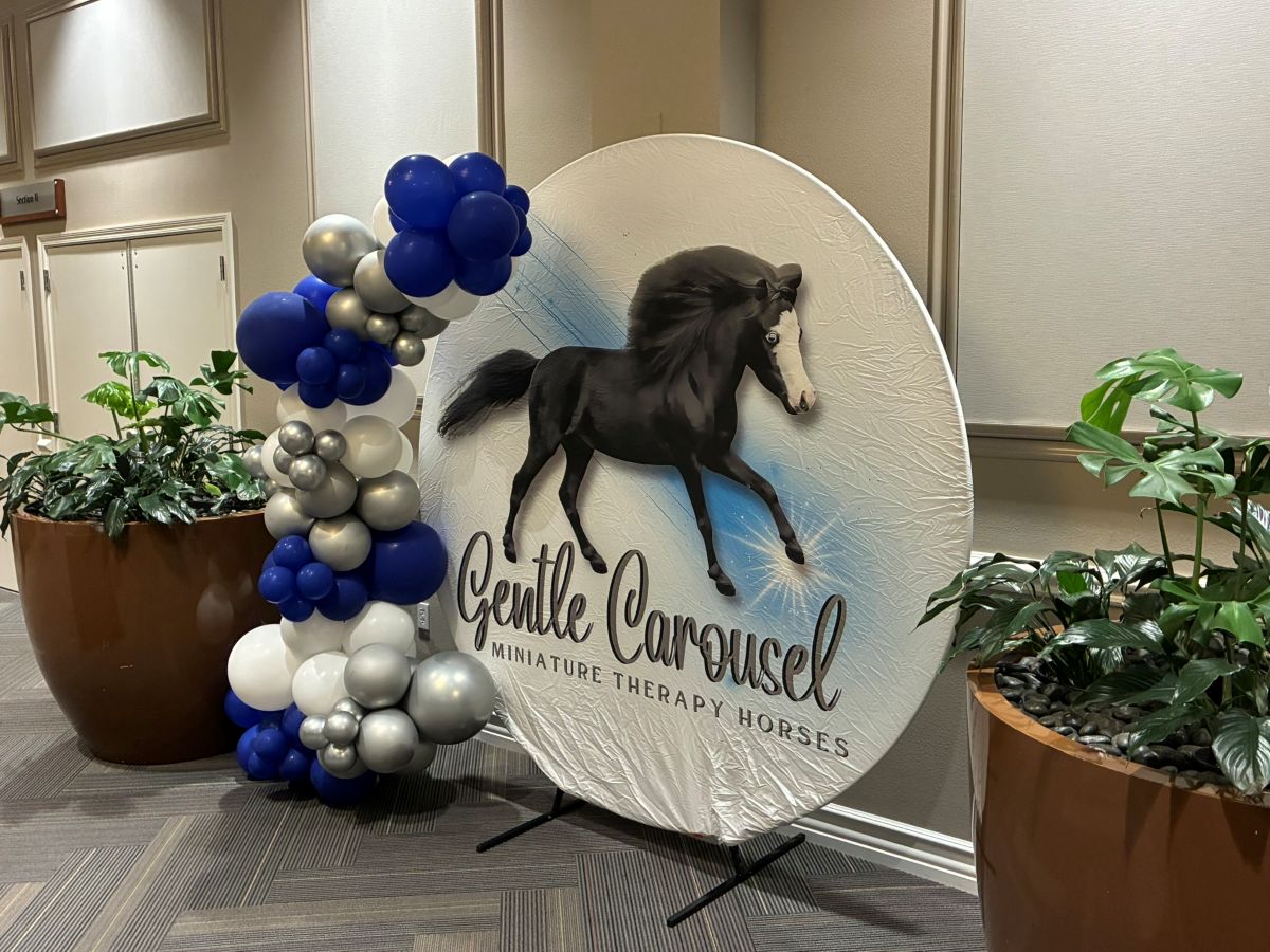 gentle carousel miniature horse therapy ocala florida