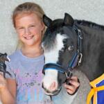 magic gentle carousel miniature therapy horses ocala florida