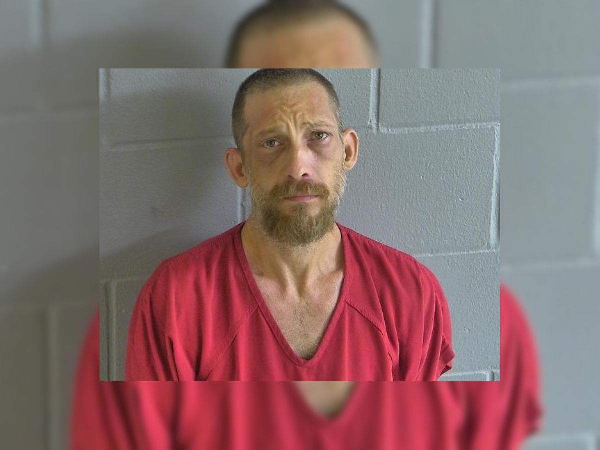 evan douglas mcquiston child pornography levy county florida