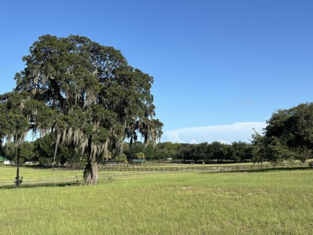 sunny weather summerfield marion county florida